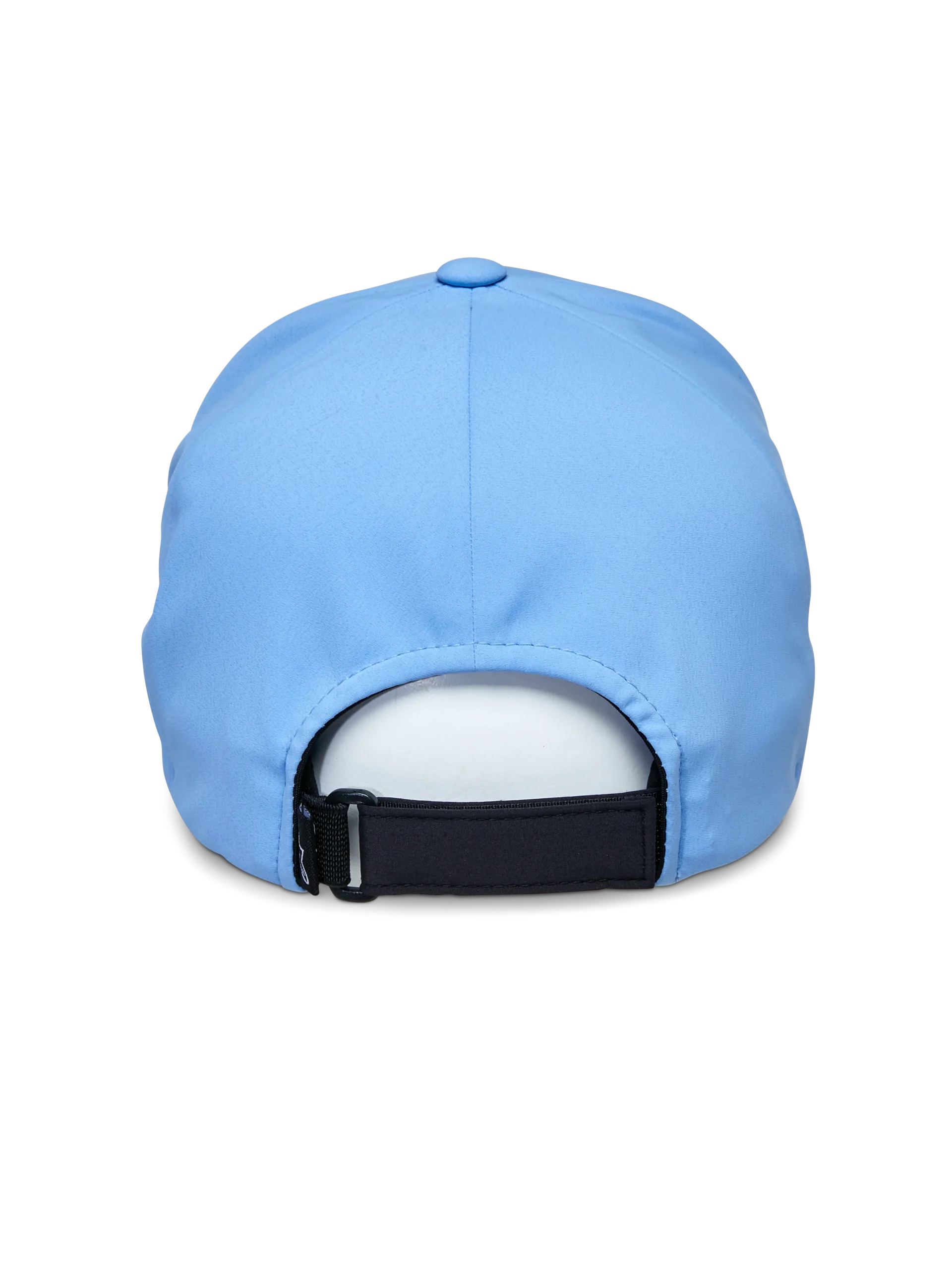 Apex Pet - Afbeelding 4