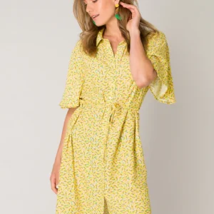 Ivy beau jurk emy multicolour